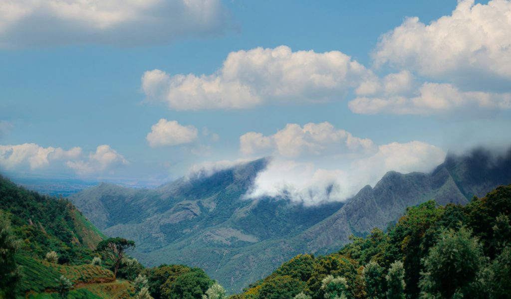 Munnar 1 Munnar PondicherryHolidays