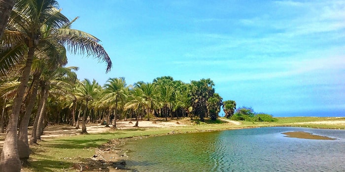 Paradise Beach Puducherry – A Serene Coastal Escape 1 Paradise Beach Puducherry