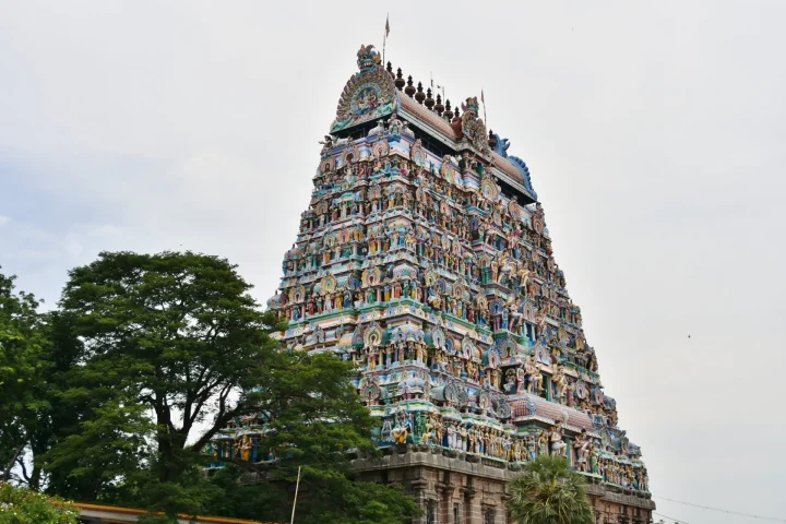 Chidambaram & Pichavaram