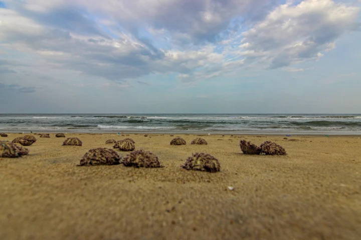 Eden Beach (Chinna Veerampattinam)