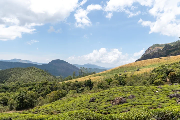 Eravikulam National Park (Rajamala), Munnar