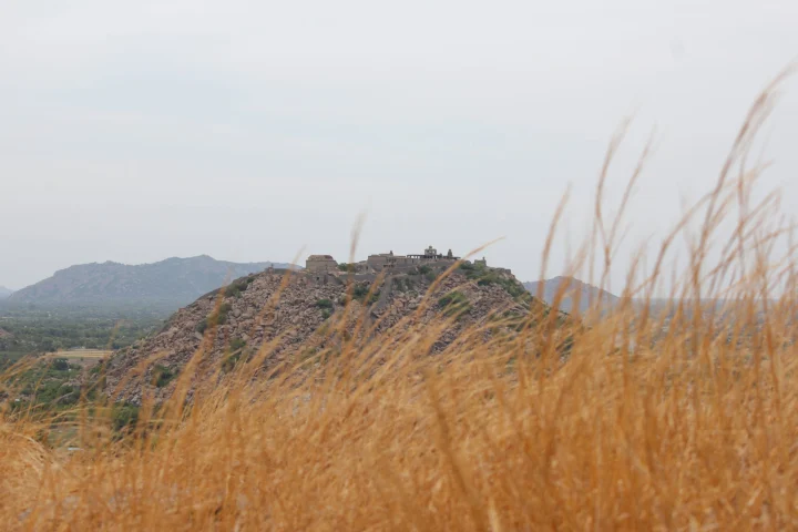 Heritage & Forts