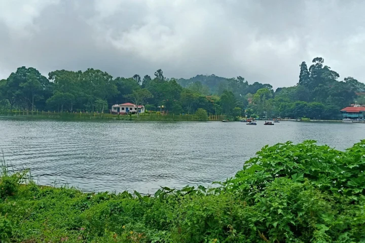 Hill Stations Near Pondicherry Compared: Yercaud, Yelagiri, Kodaikanal, Ooty and Munnar