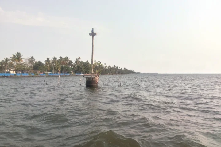 Kerala Coast Tour: Kochi, Kumarakom & Varkala (7 Days / 6 Nights)