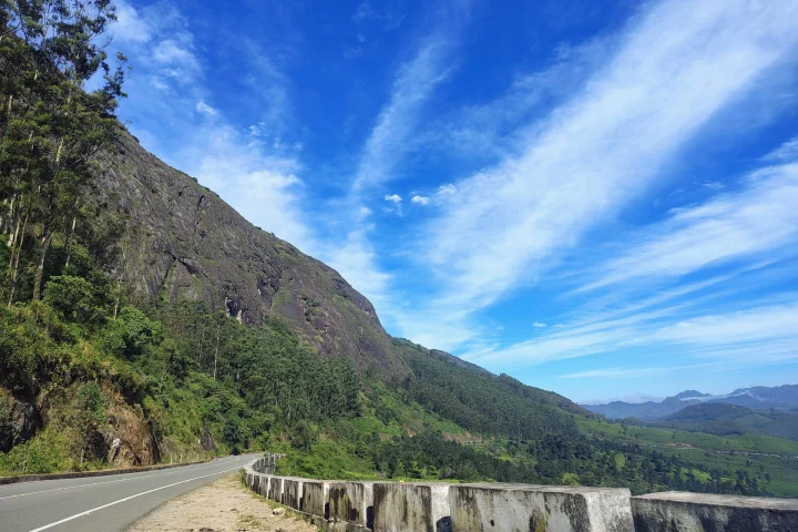 Kerala Tour: Munnar, Thekkady & Alleppey (7 Days / 6 Nights)