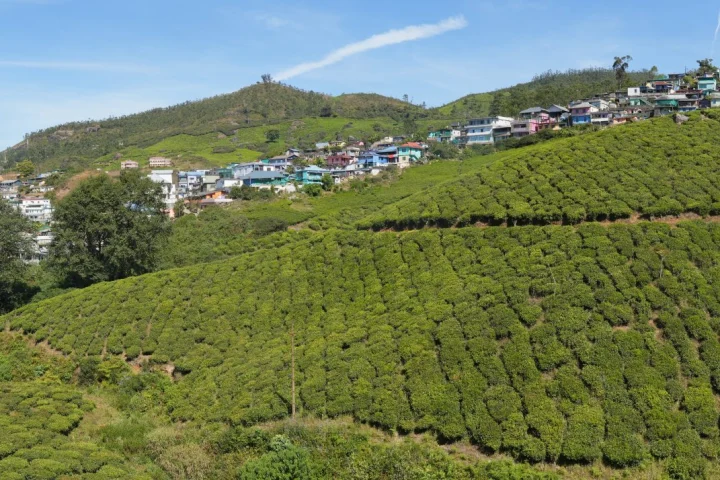 Munnar