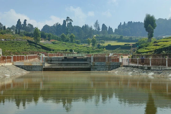 Ooty