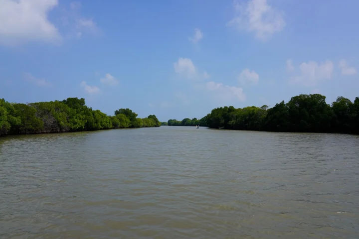 Pondicherry Family Holiday (3 Days / 2 Nights)