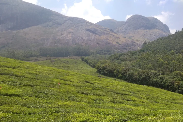 Pondicherry to Kerala Road Trip: Route, Drive Times and Best Season