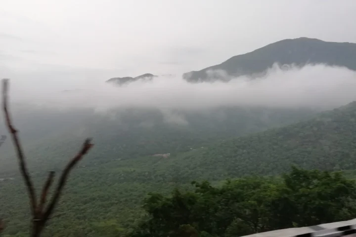 Tirupati & Tirumala