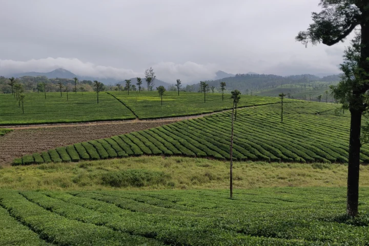 Valparai