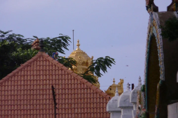 Vellore Golden Temple Day Trip (1 Day)