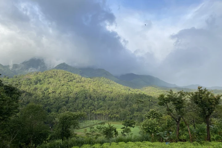 Wayanad, Ooty & Mysore Tour (5 Days / 4 Nights)