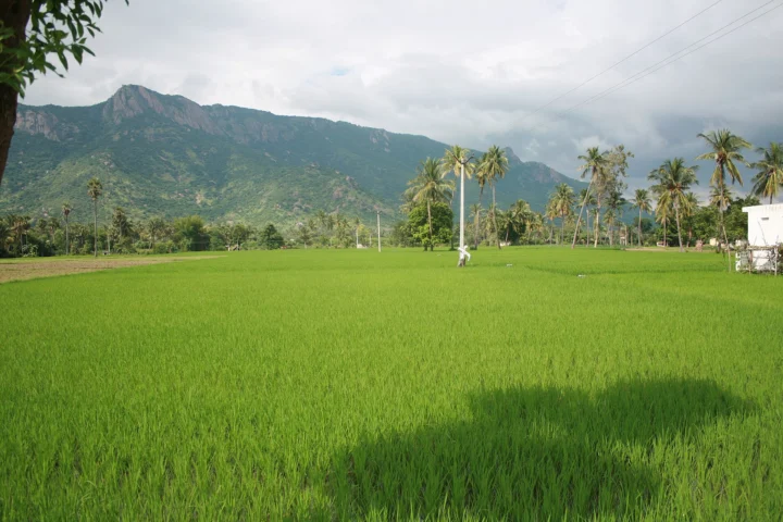 Javadhu Hills (Jamunamarathur)
