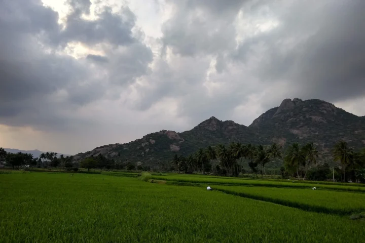 Kalvarayan Hills Weekend (2 Days / 1 Night)