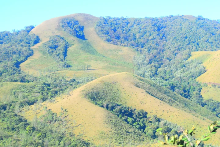 Mullayanagiri, Chikmagalur
