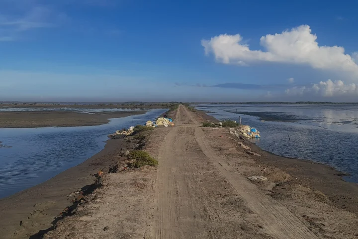 Point Calimere Birding & Velankanni Tour (3 Days / 2 Nights)
