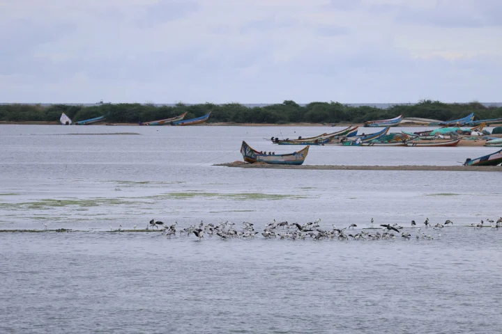 Mahabalipuram & Pulicat Coast Tour (2 Days / 1 Night)