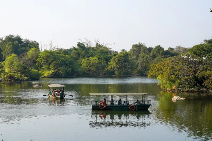Ranganathittu Bird Sanctuary, Srirangapatna